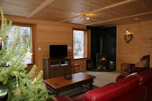 Télévision, cheminée, lecteur de DVD, livres