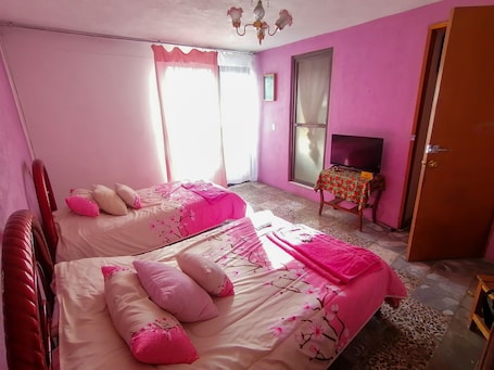 2 bedrooms, free WiFi, bed sheets. Apartment "La Carreta Rica" base capacity 5 people.
