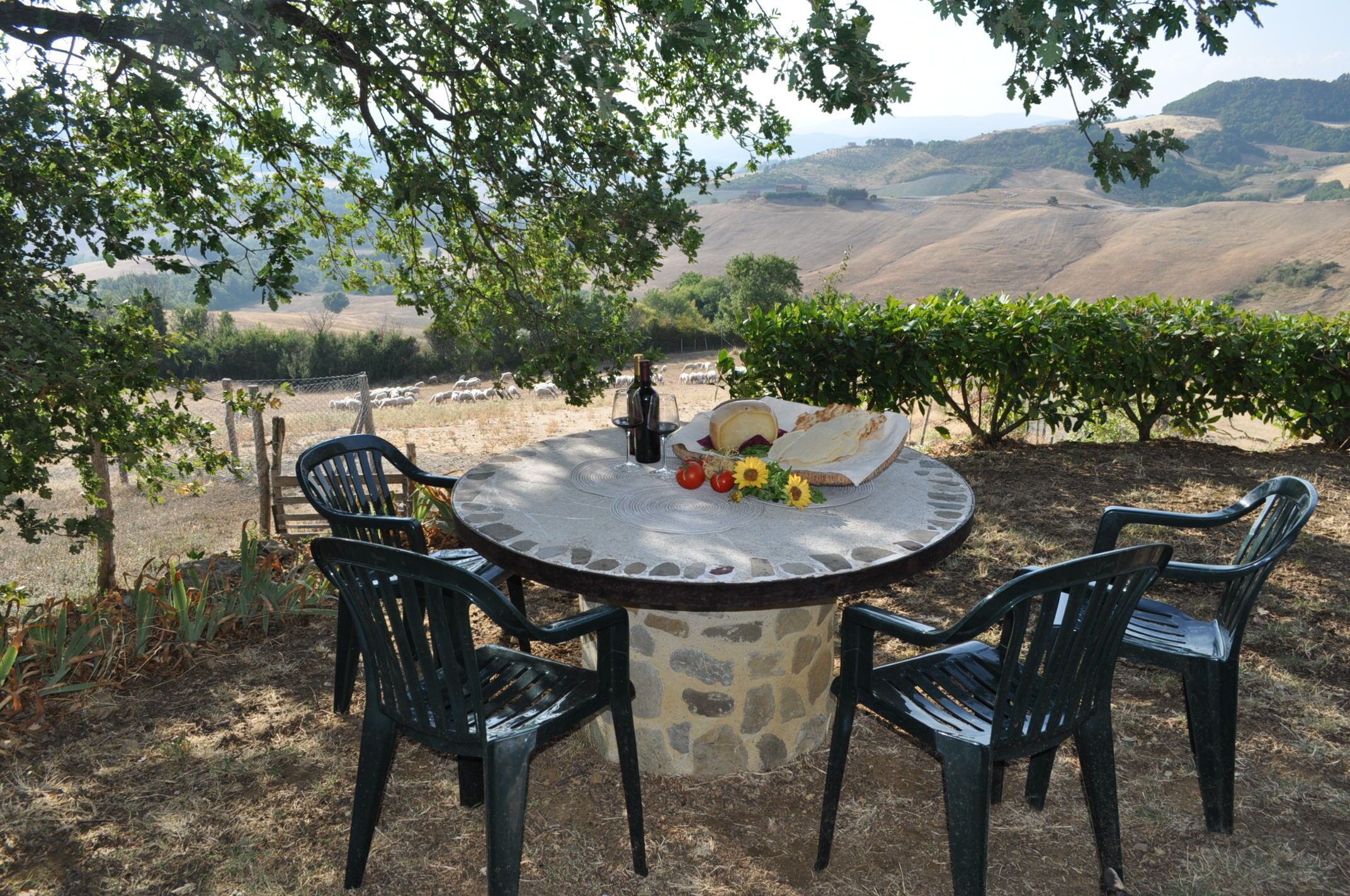 Independent panoramic cottage in active farmhouse with shared pool Tuscany Siena