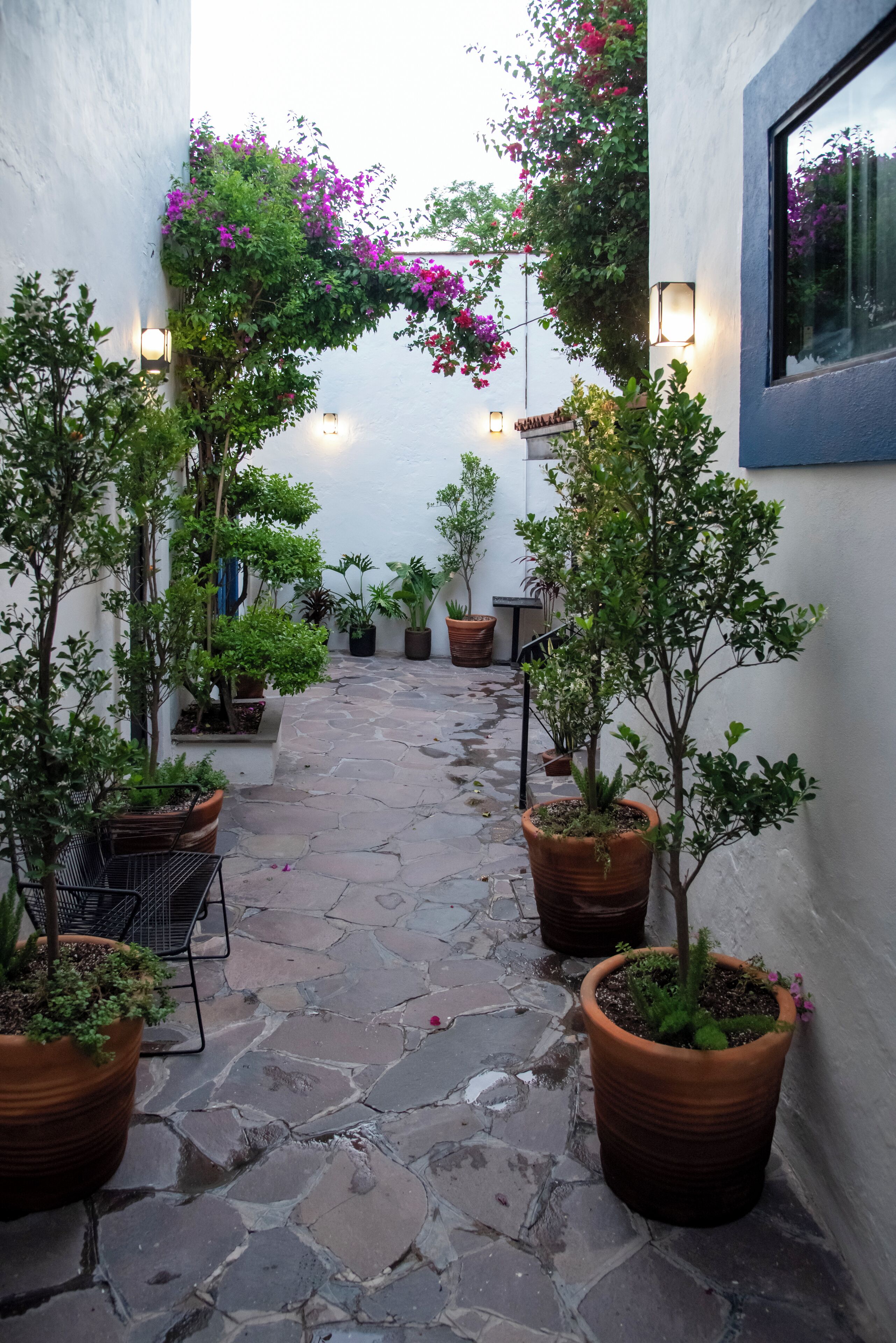 50-inch smart tv with digital channels