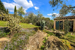 Property grounds - House Casale Vezzoli with Pool (Roccatederighi)
