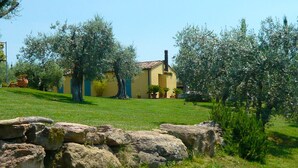 A house with a yellow facade, surrounded by a well-maintained lawn and large rocks.