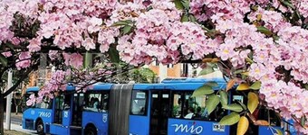 Supercondo! Home Away From Home mi Casa Tu Casa