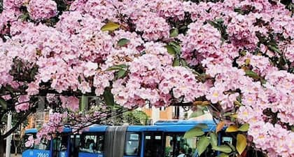 Supercondo! Home Away From Home mi Casa Tu Casa