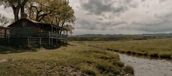 แทแรนช์