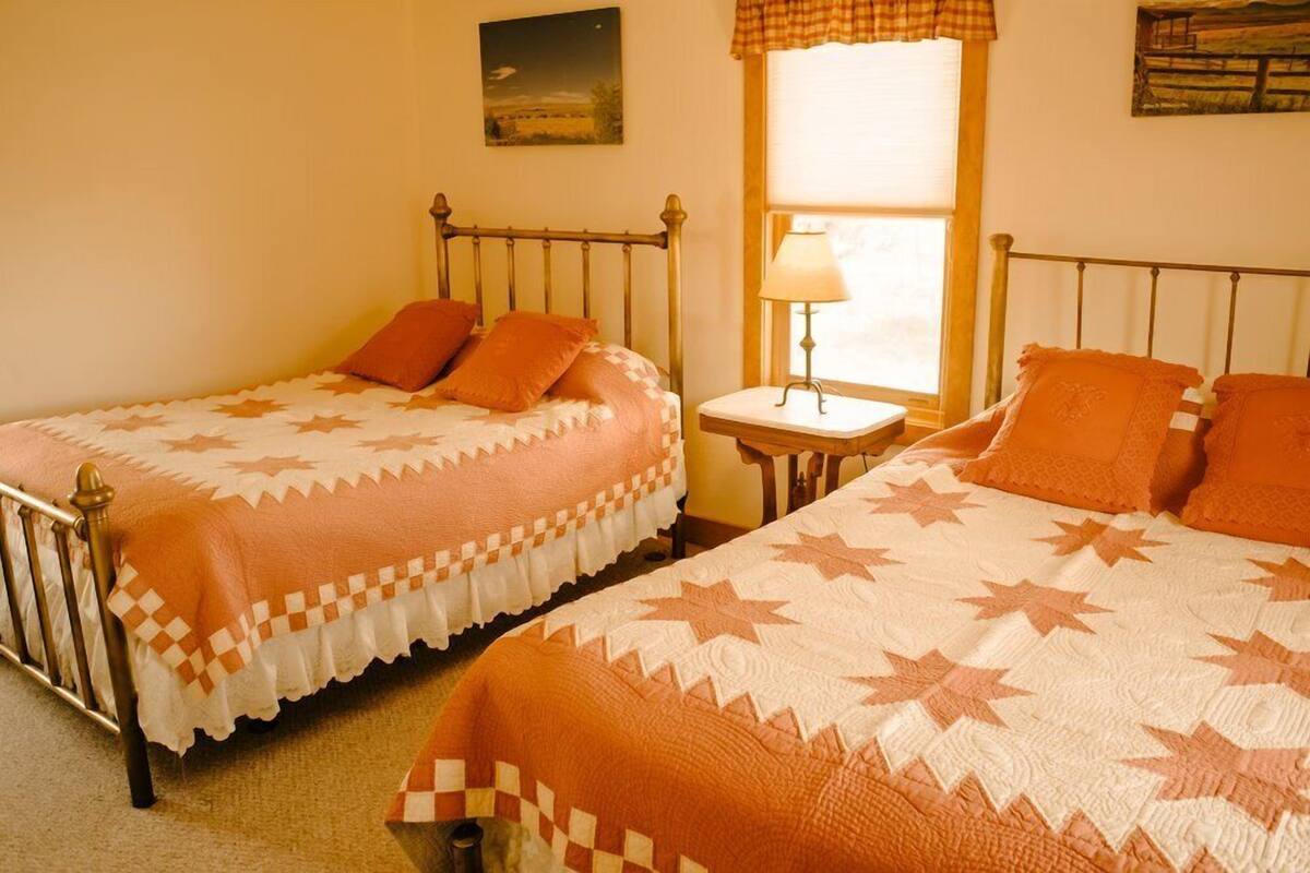 Two single beds with matching headboards and footboards, a bedside table with a lamp, and a window with curtains.