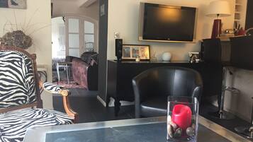 Télévision, cheminée, lecteur de DVD, livres