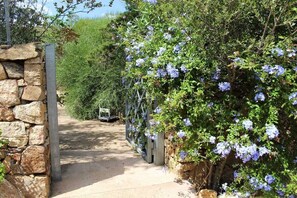 Property grounds - "le corti di aloa" Holiday House - for 5 people (OLBIA)