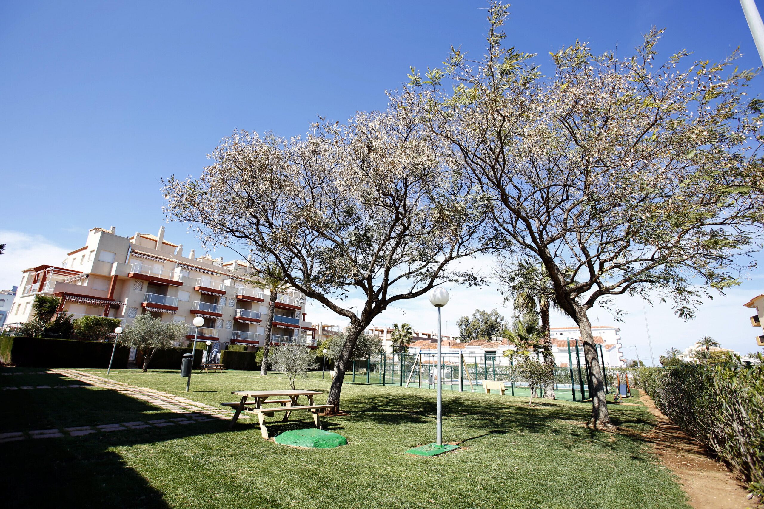 Un parc avec une table de pique-nique, un arbre et un bâtiment en arrière-plan.