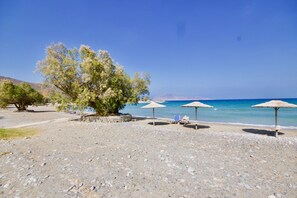 Plage à proximité, chaises longues, serviettes de plage