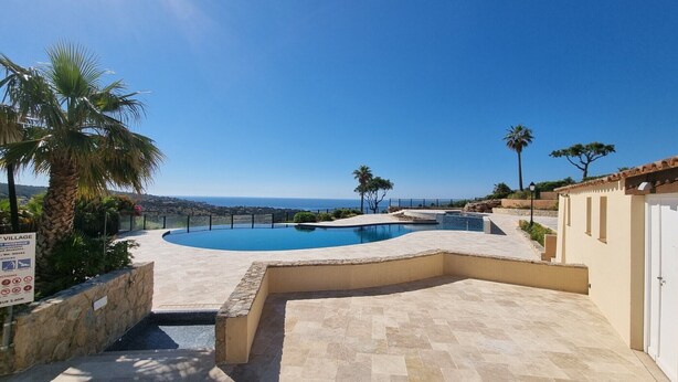 A swimming pool with a curved design, surrounded by stone walls and palm trees, overlooking a coastal view.