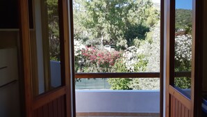 A view through a wooden-framed window with a view of a garden with various trees and flowering plants.