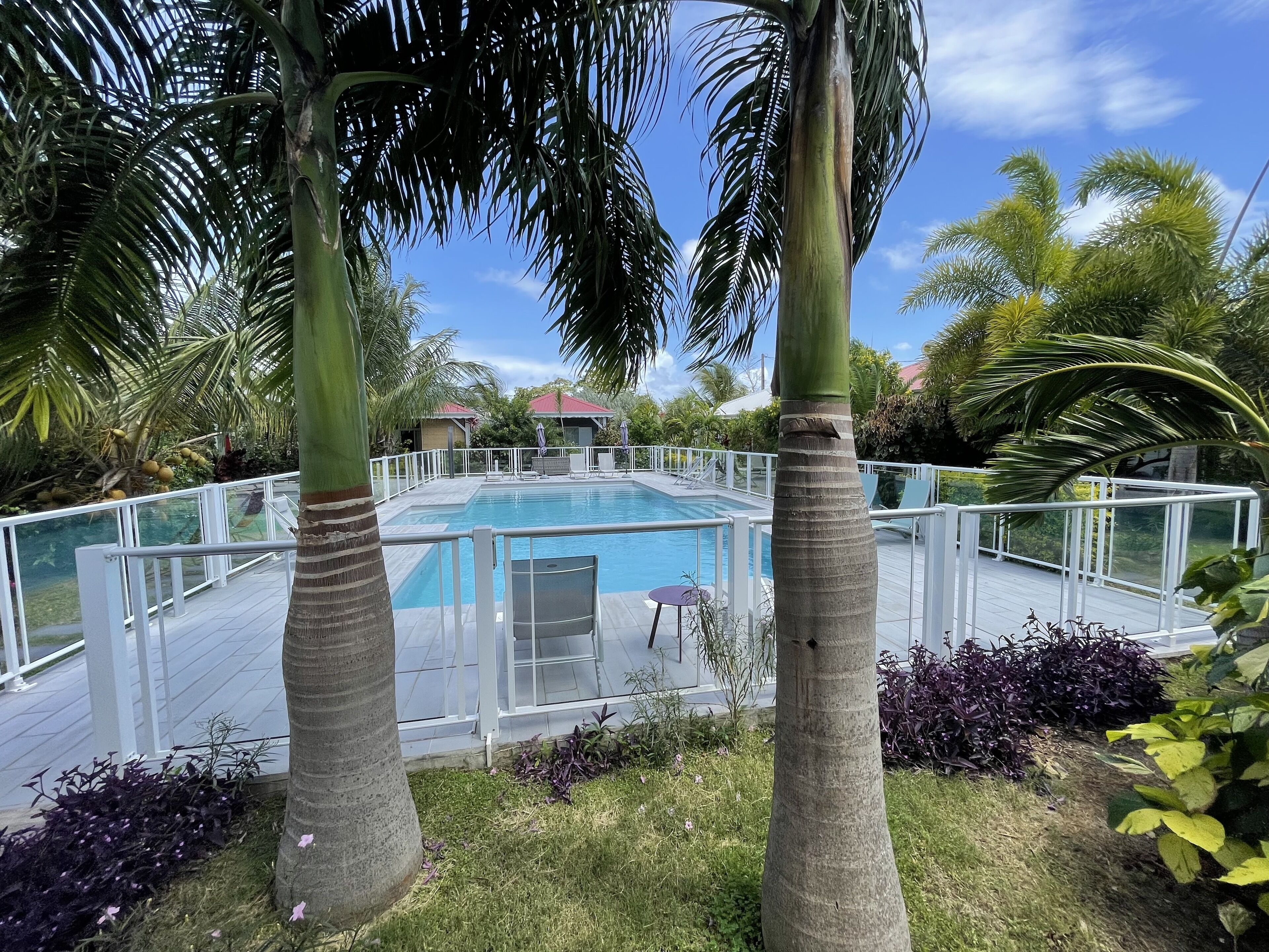 A swimming pool with a white deck, surrounded by palm trees and a white fence.