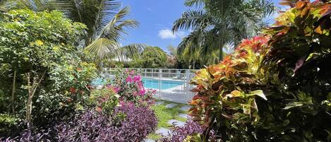 A pool area surrounded by lush tropical plants and palm trees.