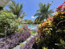 A pool area surrounded by lush tropical plants and palm trees.