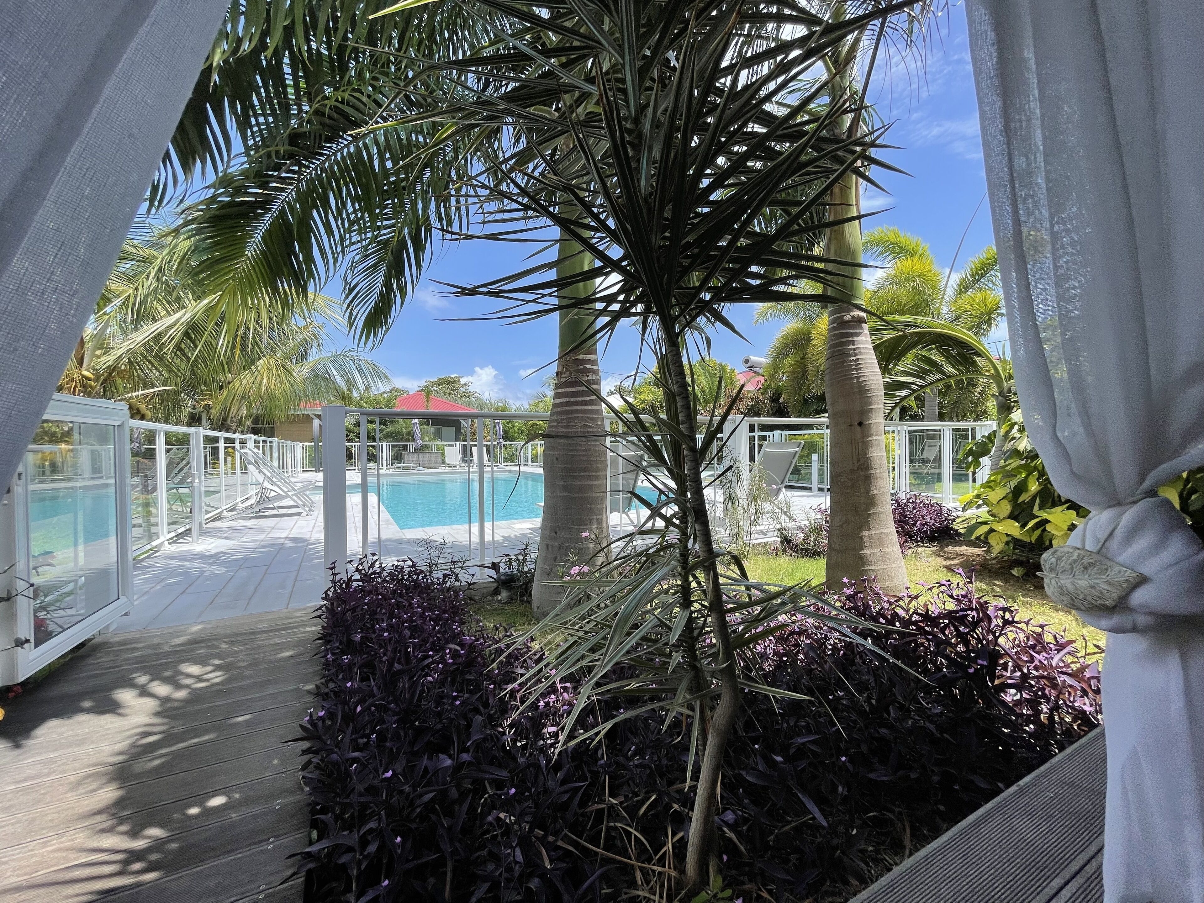A pool area with a wooden deck, surrounded by tropical plants and palm trees.