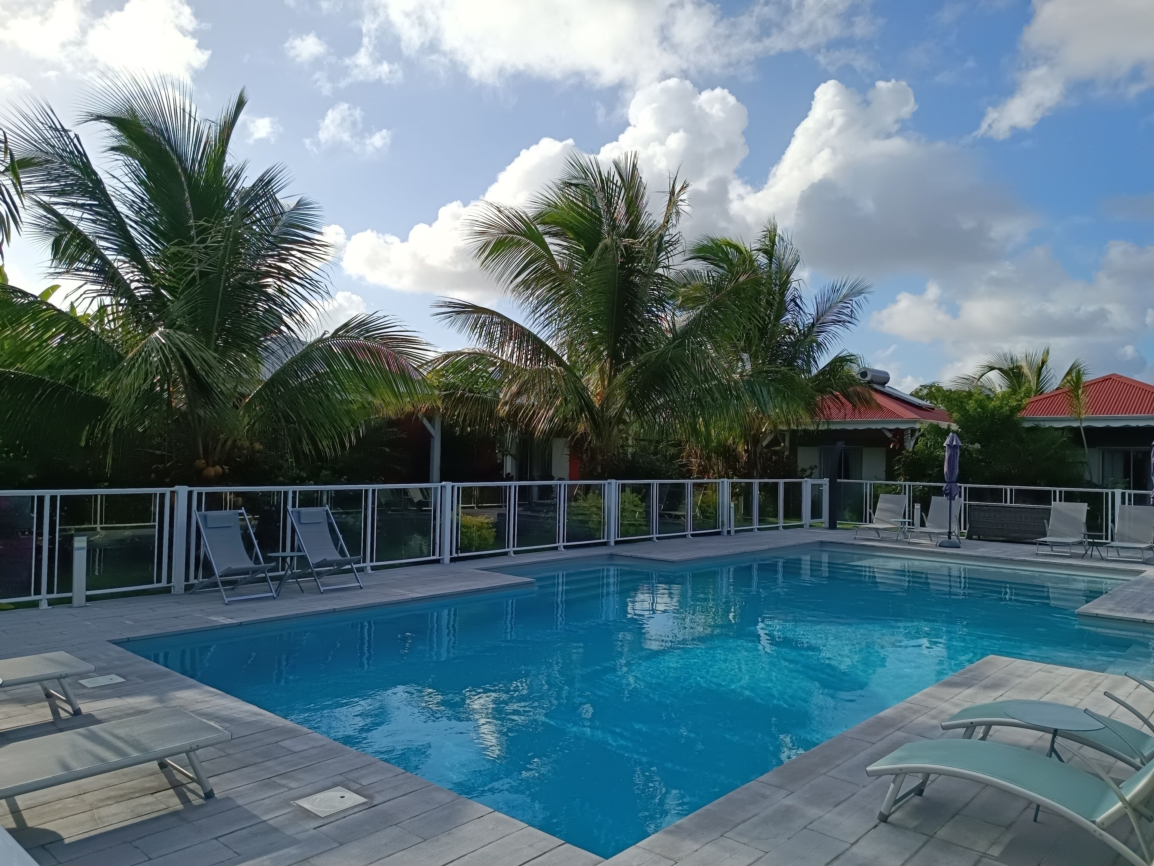 Outdoor pool, open 9:00 AM to 8:00 PM, pool umbrellas, sun loungers
