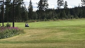 Un terrain de golf avec un chariot au premier plan et une forêt en arrière-plan.