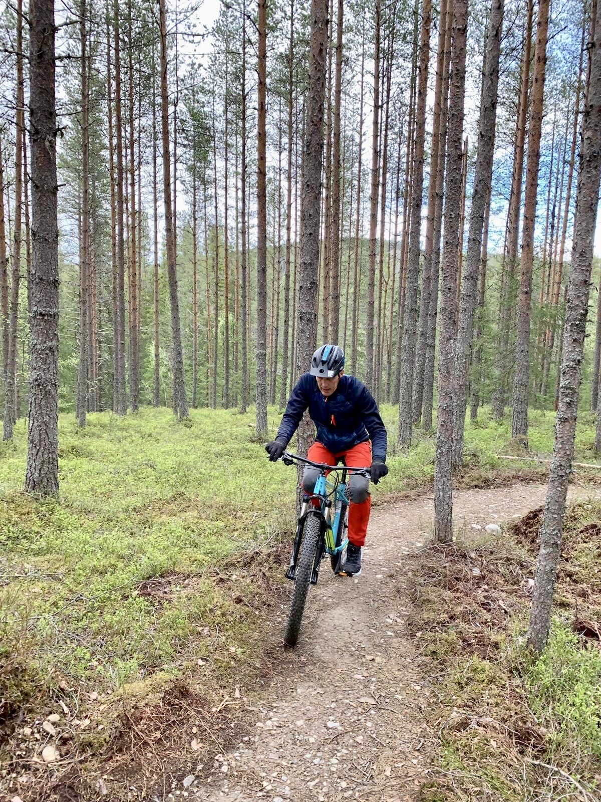 A person riding a mountain bike on a forest trail.
