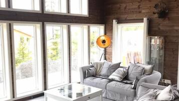 TV, peis, videospill og stereoanlegg