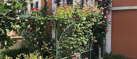 Detalle exterior