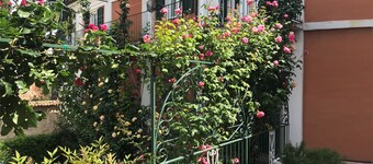 Bed and Roses "gege"