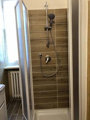 Shower, hair dryer, bidet, towels
