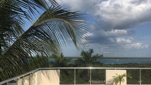 A balcony with a view of the sea, palm trees, and a potted plant. - Hotel Tuparenda Bacalar (Bacalar)