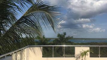 Vista desde la propiedad