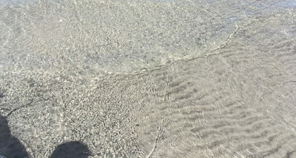 Gemütliches Haus inmitten wunderschöner Natur - 5 Minuten vom schönen Sandstrand entfernt.