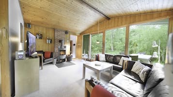 Una Smart TV, una chimenea, libros, un reproductor estéreo