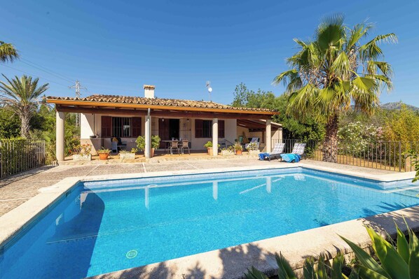 A swimming pool with a tiled edge, a covered patio area with outdoor furniture, and a palm tree.
