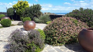 A landscaped garden with various shrubs and a large decorative pot. - Villa Essence - with A/C, heated private pool, hottub, gardens & stunning views! (Tias)