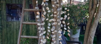 Mit großem Garten, auch für unsere 4-beinigen Freunde