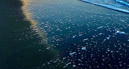 New Construction, beautiful 2 bed apartment facing the sea, Wi-fi ,Aircon