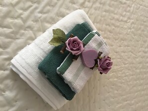 Regadera, secadora de cabello, bidet, toallas 