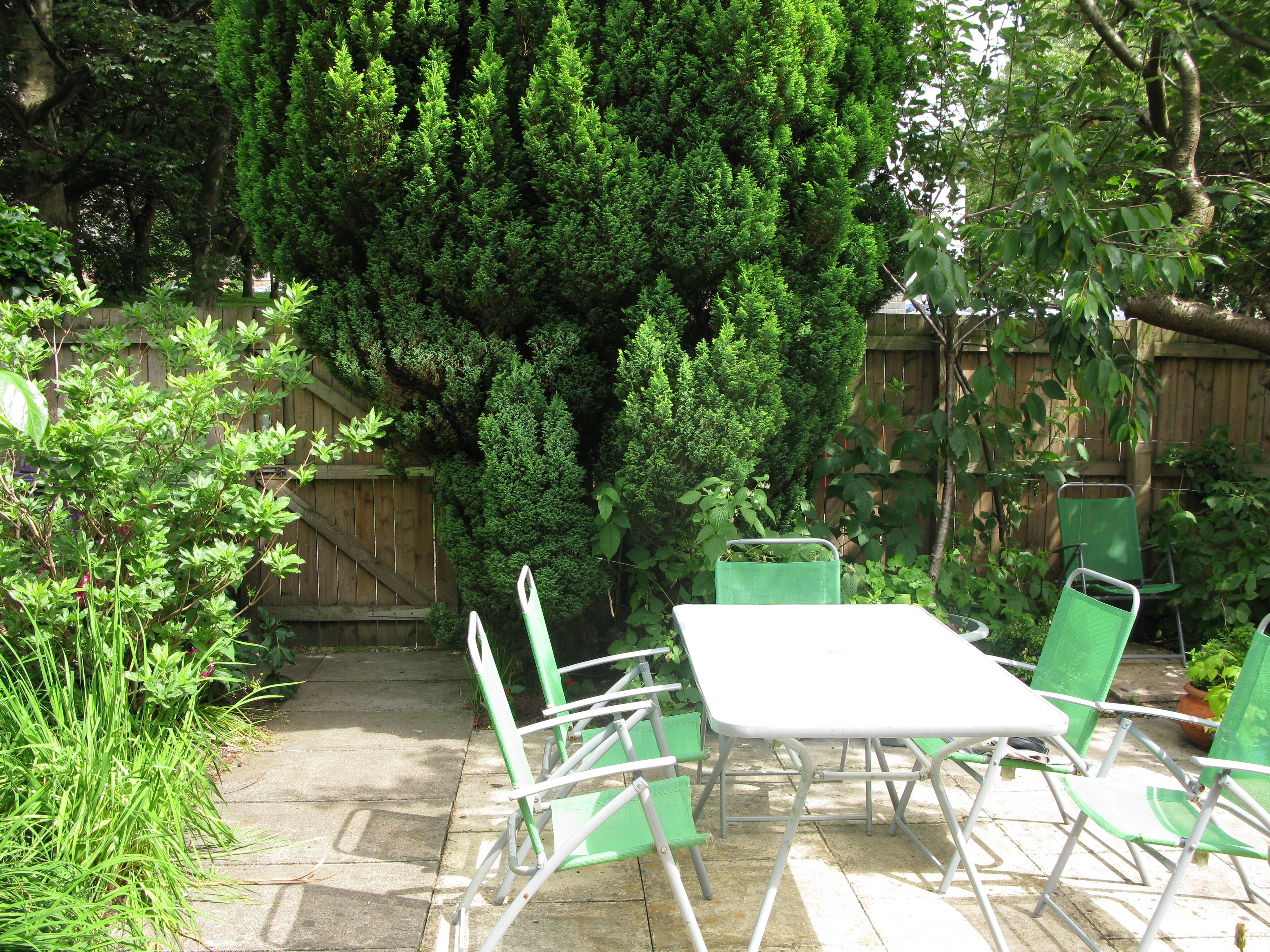 Garden area