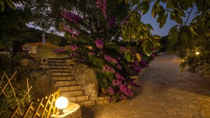 A stone pathway leading through a garden with blooming flowers and a lit lamp post. - Etno House Wagner (Peracko Blato)