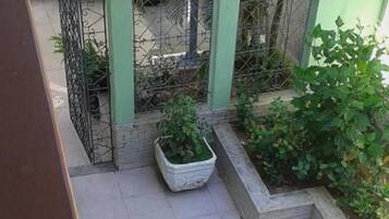 Un pequeño patio al aire libre con suelo de baldosas, una planta en maceta y una valla de metal.