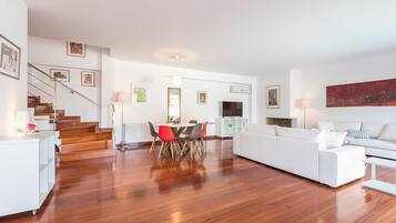 Télévision, cheminée, livres