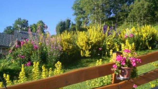 Ein Garten mit Holzzaun, verschiedenen blühenden Pflanzen und Bäumen im Hintergrund.