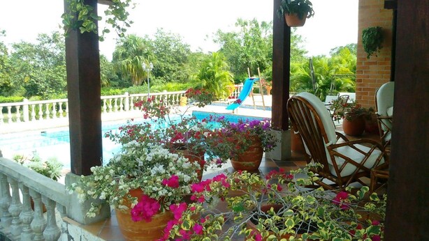Área de piscina com escorregador, rodeada por plantas em vasos e mobiliário de exterior.