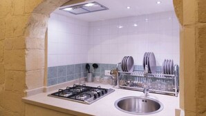 Een moderne keuken met een gasfornuis, een spoelbak van roestvrij staal en een afwasschaal.