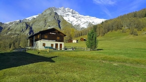 Exterior - Engadine House (Vnà)