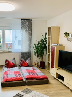 Flat-screen TV, video game console, DVD player, books