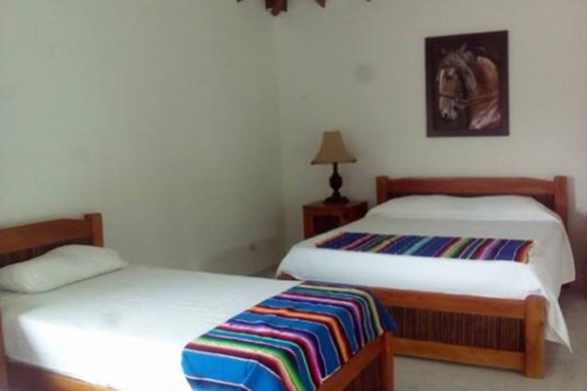 A room with two single beds, a wooden headboard, a small bedside table with a lamp, and a wall-mounted painting.