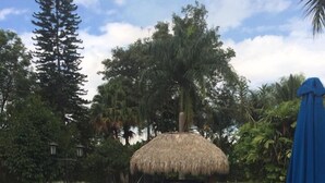 A swimming pool with a thatched-roof structure in the background, surrounded by lush greenery. - Finca Hotel La Joya (Calarcá)
