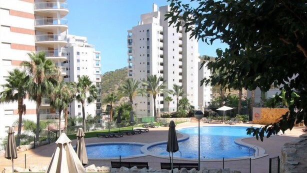 A swimming pool area with lounge chairs and umbrellas, surrounded by palm trees and a view of high-rise buildings. - Torre Maestral by Interhome (Benidorm)