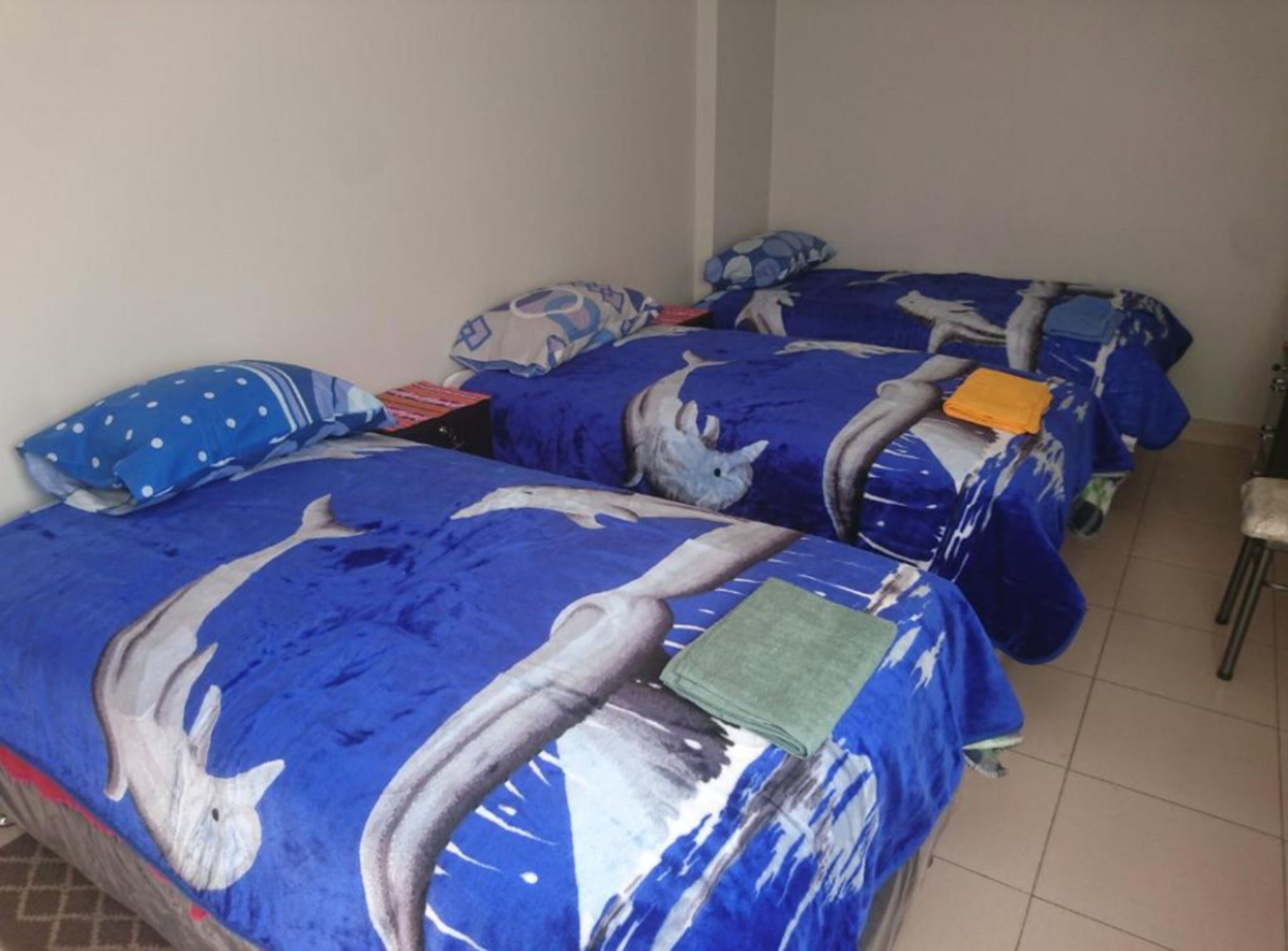 Foto - No Fear Adventure Hostel