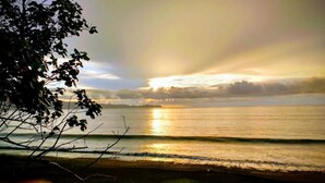 A beach scene with sunlight reflecting on the water and a tree in the foreground. - Cabaña Kirita (Bahia Solano)